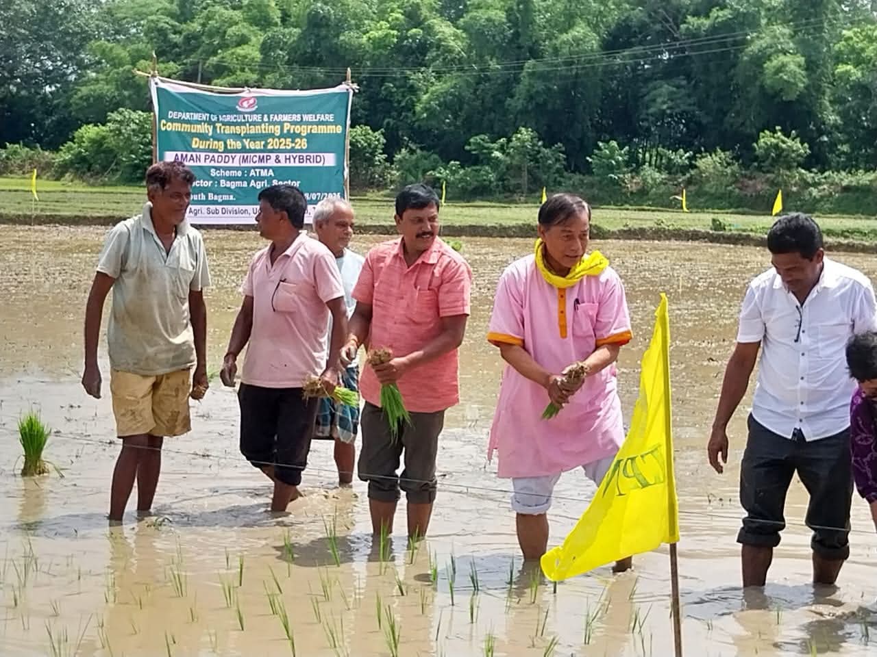 Aman Paddy Plantation Begins in Bagma with MLA Rampada Jamatia Leading the Initiative